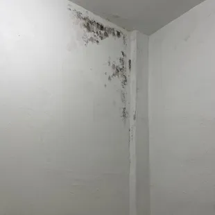 Black mold in the bathroom