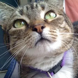 Sarah E.