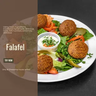  plate of falafe