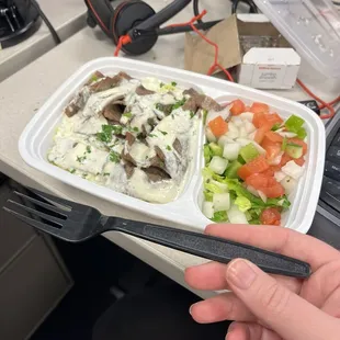 Gyro plate