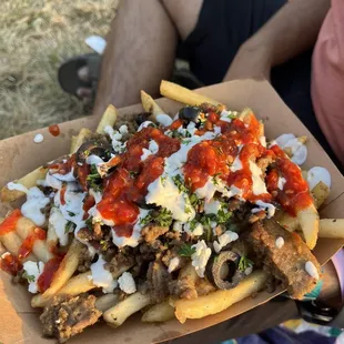 Beef lamb gyro over fries