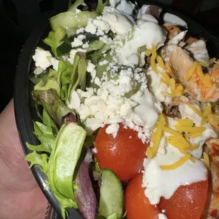 Chicken Shawarma Plate
