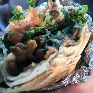 a hand holding a wrap of food