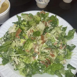 Ceaser Salad