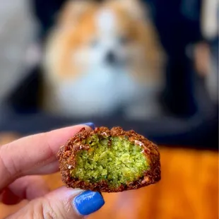 Hella good falafel - crunchy and moist with a garlicky herbaceousness.