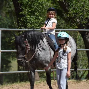 Fun for the whole family - horses encourage life skills that all can benefit from - confidence, emotional control, physical fitness &amp; FUN!