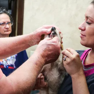 Part of a physical exam includes gently taking a peak at a patient's teeth and gums for signs of dental disease (the #1 healt...