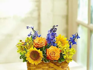 David's Flowers, Gifts & Interiors