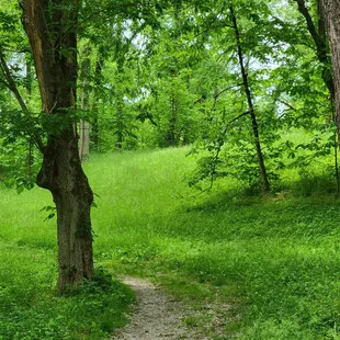 Miami Fort Trail loop