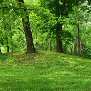 Mound near historic building