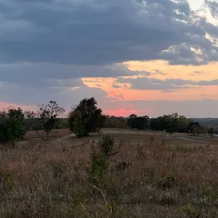 Walk 'em at twilight for a spectacular sunset!