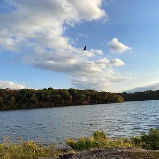 Eagles loving the weather as well