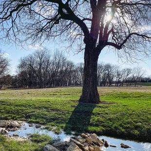 Beautiful spring day!