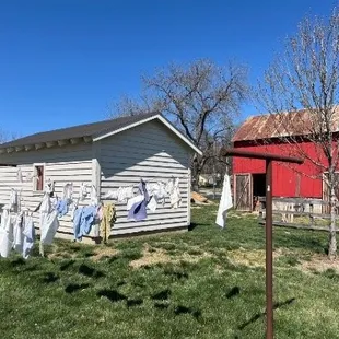 Clothes-line on farmstead