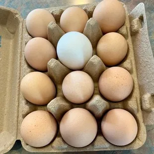 Eggs bought on-site