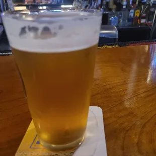 Six point magnifera indica