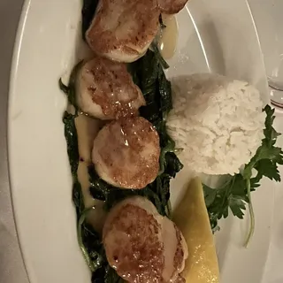 Hudson Canyon Sea Scallops