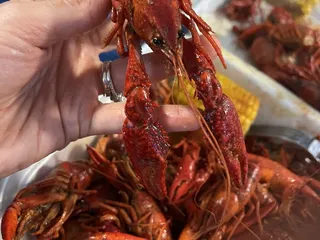 Claw Daddy's