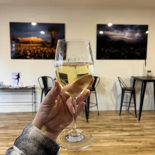 a hand holding a glass of wine