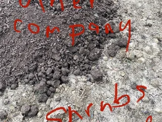 Trees, Shrubs & More