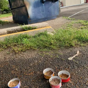 three bowls of dog food on the ground
