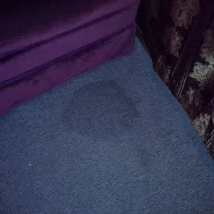 Urine spot on floor?