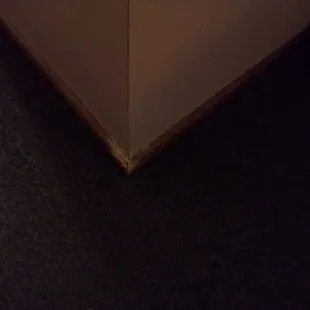 Dogs chewd the baseboard.