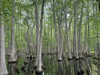 WC  Johnson Park