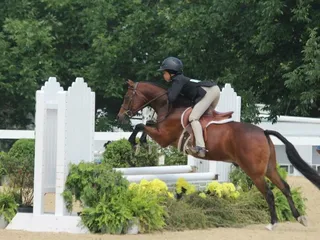 Showcase Equestrian Center