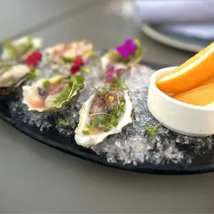 Kumamoto oysters in the 1/2 shell