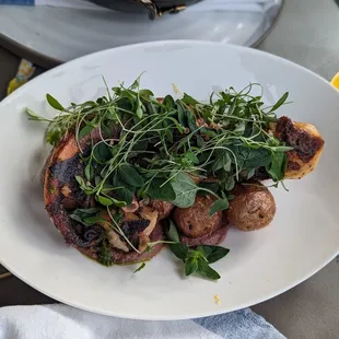Pulpo Al Olivo