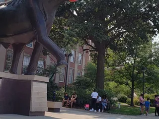 University of Nebraska State Museum