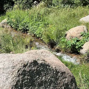 Creek
