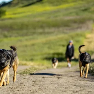 Shell Ridge Open Space