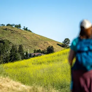 Shell Ridge Open Space  #EarthDay2024