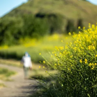 Shell Ridge Open Space
