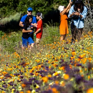 Shell Ridge Open Space