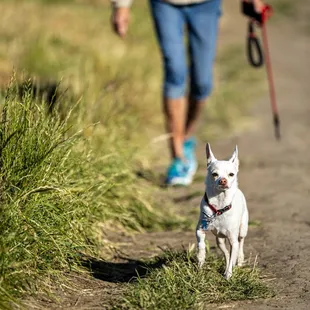 Shell Ridge Open Space