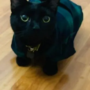 This is Bean before he was dumped with his brother Jack in Junction, TX.