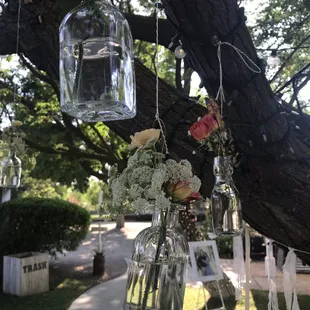 Very beautiful tree to hang various ornaments from even a trashcan behind us is decorated very nice