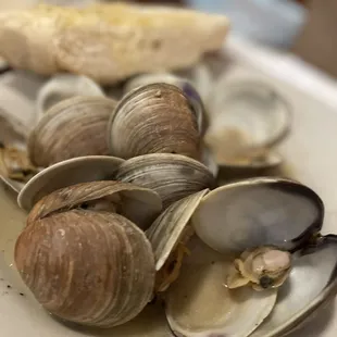 Clams