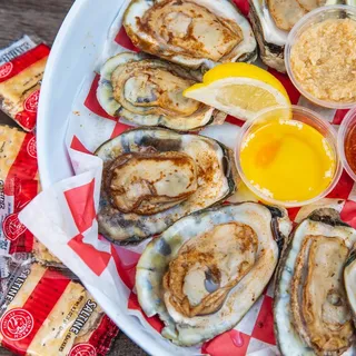 Oysters