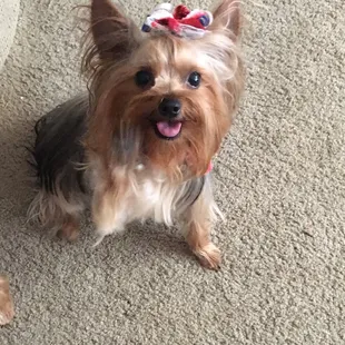 Most recent trip to Shelly's