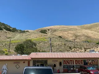 Antiques on the Grapevine