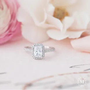 Mars:  classic halo collection