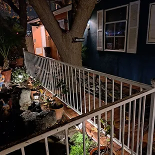 a tree in the yard