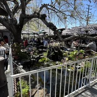 Outdoor Seating