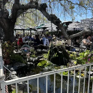 Outdoor Seating