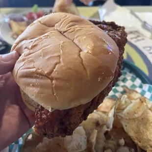 Chicken sandwich (larger than it appears)