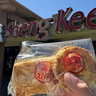 Pork and chicken pie